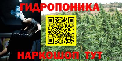 ПСИЛОЦИБИНОВЫЕ ГРИБЫ Балахна