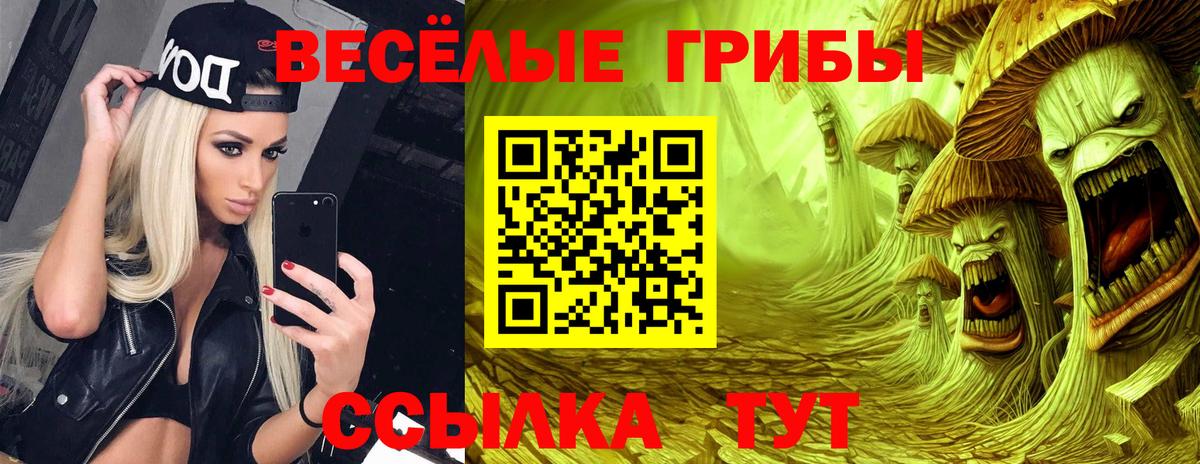 Галлюциногенные грибы Cubensis  Вход с VPN  Джанкой 